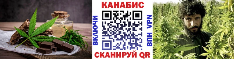 Купить где  Куса  Cannafood конопля 