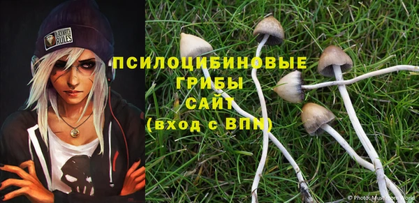 ГАЛЛЮЦИНОГЕННЫЕ ГРИБЫ Зерноград